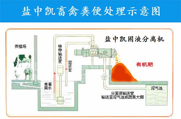 樱桃视频APP下载网站